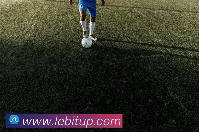 体育数据展示